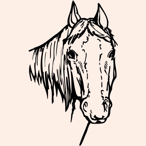 HORSE004 Thumbnail