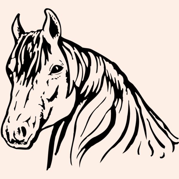 HORSE006 Thumbnail