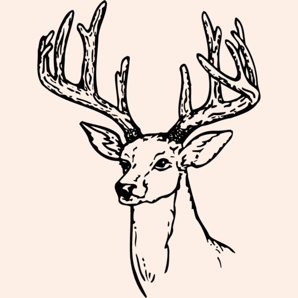 DEER009 Thumbnail