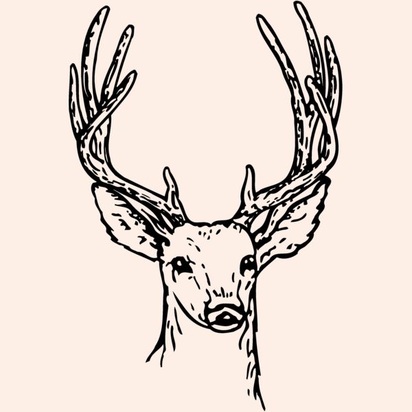 DEER011 Thumbnail