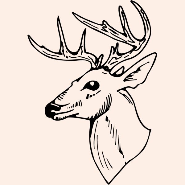 DEER018 Thumbnail