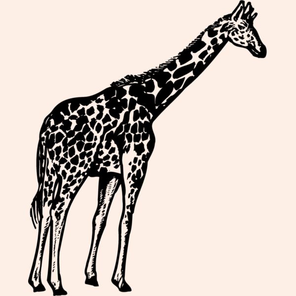 GIRAFF02 Thumbnail