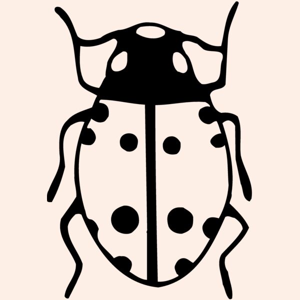 BEETLE03 Thumbnail