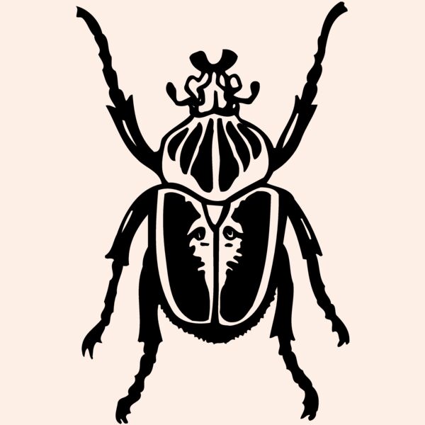 BEETLE04 Thumbnail