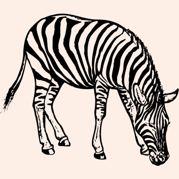 ZEBRA001 Thumbnail