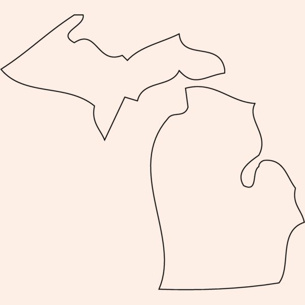 MICHIGAN Thumbnail