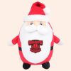 Zippie Father Christmas Thumbnail
