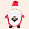 Zippie Father Christmas Thumbnail
