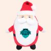 Zippie Father Christmas Thumbnail