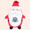 Zippie Father Christmas Thumbnail