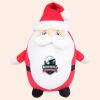 Zippie Father Christmas Thumbnail