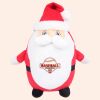 Zippie Father Christmas Thumbnail