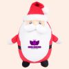 Zippie Father Christmas Thumbnail