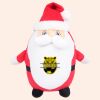 Zippie Father Christmas Thumbnail