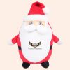 Zippie Father Christmas Thumbnail