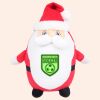 Zippie Father Christmas Thumbnail