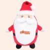 Zippie Father Christmas Thumbnail