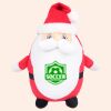 Zippie Father Christmas Thumbnail