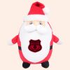 Zippie Father Christmas Thumbnail