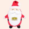 Zippie Father Christmas Thumbnail