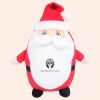 Zippie Father Christmas Thumbnail