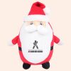 Zippie Father Christmas Thumbnail
