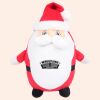 Zippie Father Christmas Thumbnail