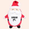 Zippie Father Christmas Thumbnail