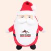 Zippie Father Christmas Thumbnail