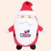 Zippie Father Christmas Thumbnail