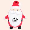 Zippie Father Christmas Thumbnail
