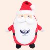 Zippie Father Christmas Thumbnail