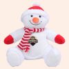 Zippie snowman Thumbnail