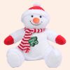 Zippie snowman Thumbnail