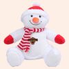 Zippie snowman Thumbnail