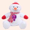 Zippie snowman Thumbnail