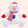 Zippie snowman Thumbnail