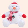 Zippie snowman Thumbnail