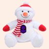 Zippie snowman Thumbnail