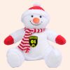 Zippie snowman Thumbnail