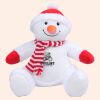 Zippie snowman Thumbnail