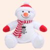 Zippie snowman Thumbnail