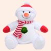 Zippie snowman Thumbnail