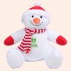 Zippie snowman Thumbnail