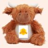 Zippie highland cow Thumbnail