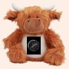 Zippie highland cow Thumbnail