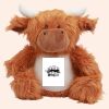 Zippie highland cow Thumbnail